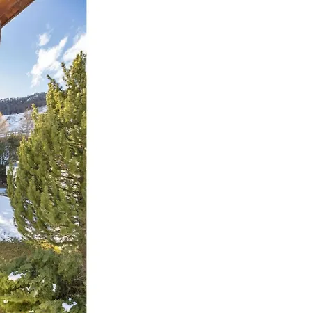 Chesa Sarvit 1 - Celerina *